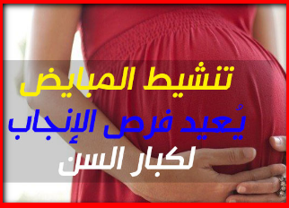 تنشيط المبايض طبيعيا وتعزيز فرص الحمل