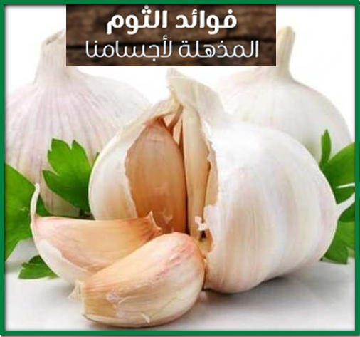 فوائد اكل الثوم للنساء هائلة.. تعرفي عليها